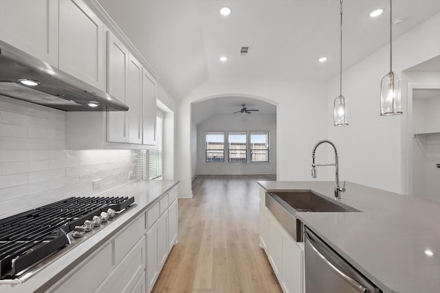 kitchen with a sink, light wood finished floors, under cabinet range hood, stainless steel appliances, and ceiling fan