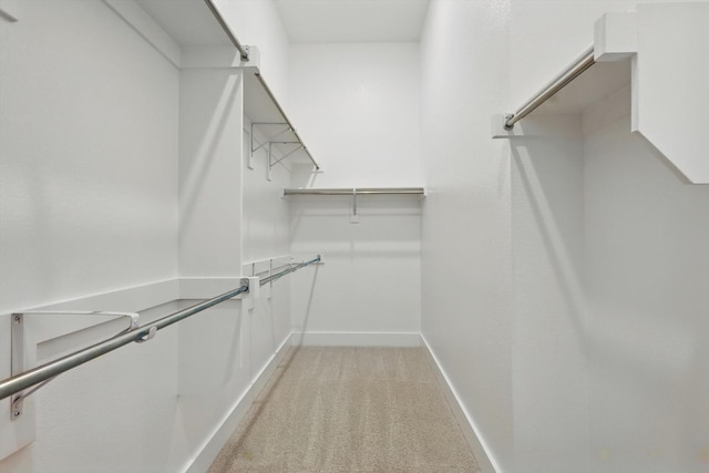 spacious closet with light colored carpet
