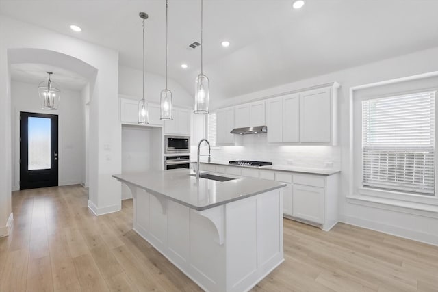 kitchen featuring light wood-style flooring, appliances with stainless steel finishes, under cabinet range hood, a sink, and backsplash