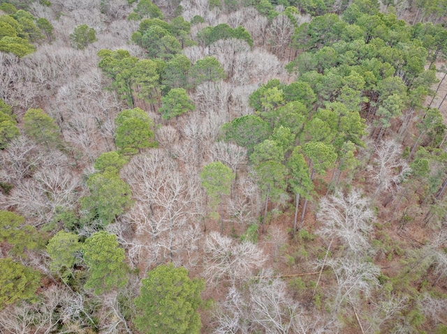 aerial view with a wooded view