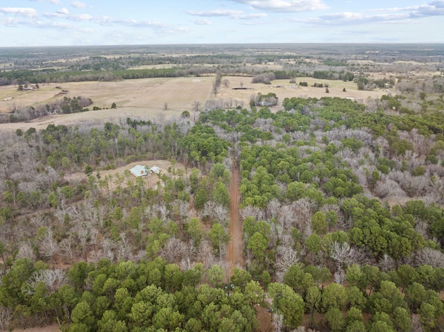 bird's eye view