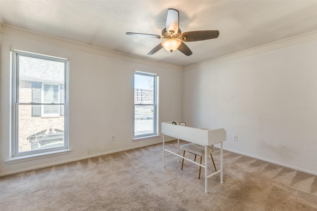 unfurnished office with ornamental molding, light carpet, and a ceiling fan