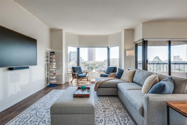 living area featuring a view of city, wood finished floors, baseboards, and ornamental molding