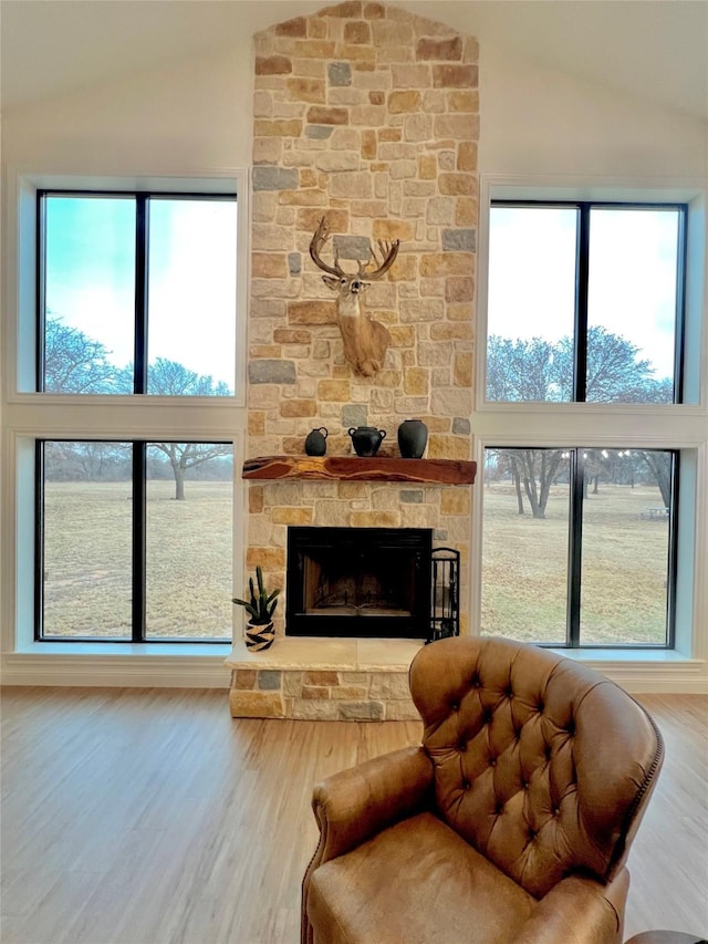 living room with high vaulted ceiling, a stone fireplace, wood finished floors, and a healthy amount of sunlight