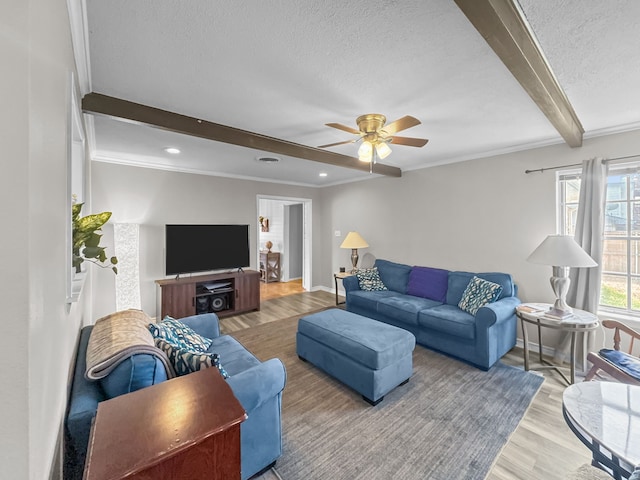 living area with beam ceiling, a textured ceiling, wood finished floors, and crown molding