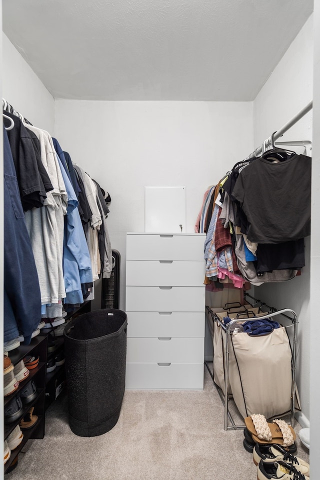 spacious closet featuring carpet flooring