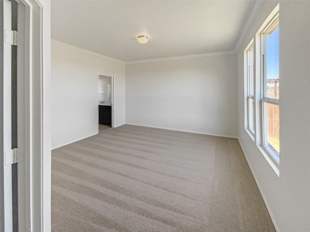 spare room featuring carpet floors, a healthy amount of sunlight, crown molding, and baseboards