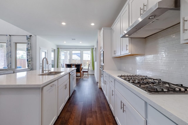 kitchen featuring tasteful backsplash, dark wood-type flooring, stainless steel appliances, a sink, and exhaust hood