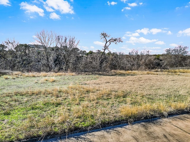 Listing photo 3 for LOT5R Tiffany Ln, Glen Rose TX 76043