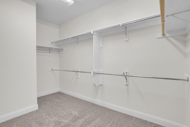 walk in closet with carpet flooring