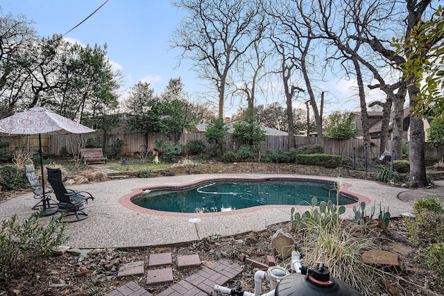 view of swimming pool with a fenced in pool, a fenced backyard, and a patio