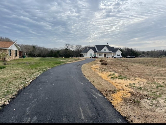 view of street with driveway