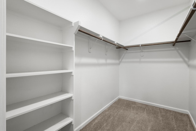 spacious closet featuring carpet