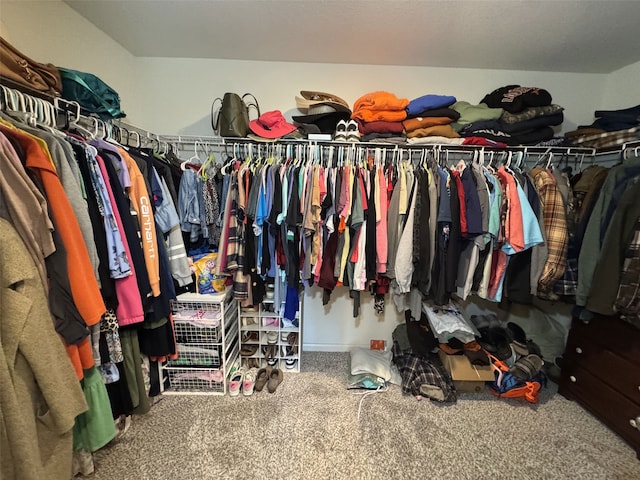 spacious closet featuring carpet flooring