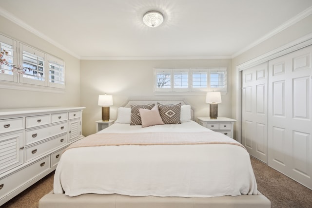 bedroom featuring dark colored carpet, a closet, and crown molding