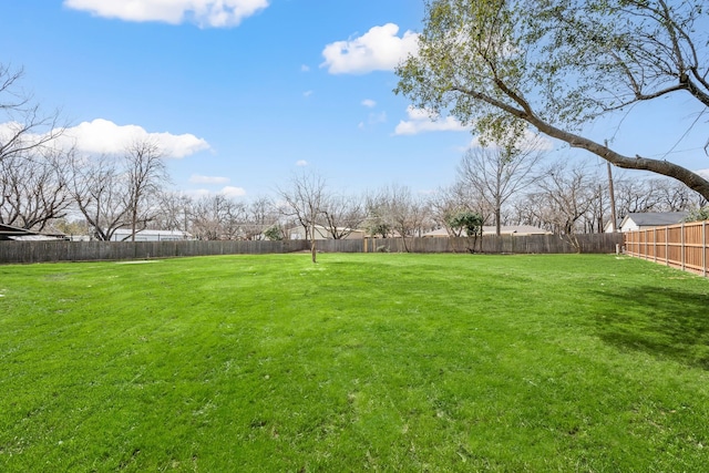 view of yard featuring a fenced backyard