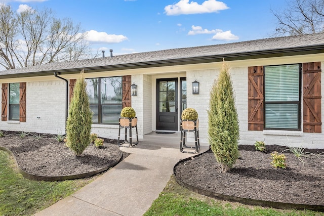 view of exterior entry with a shingled roof and brick siding