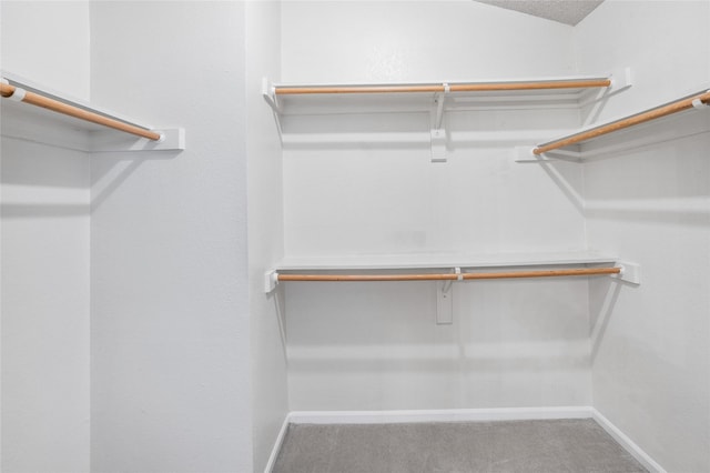 spacious closet featuring vaulted ceiling and carpet floors