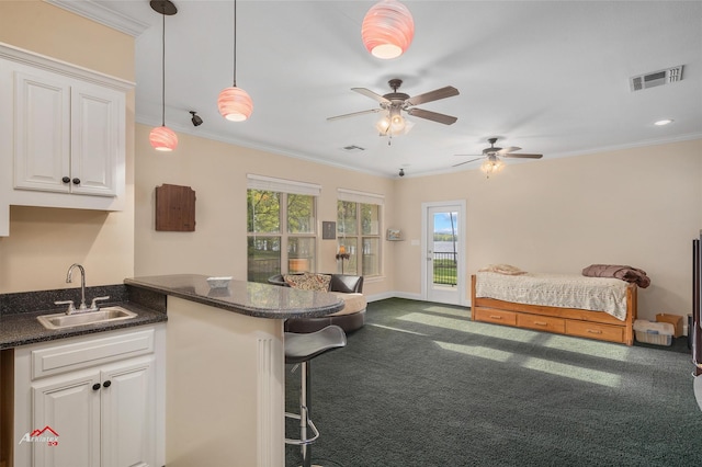 interior space featuring access to outside, visible vents, a sink, and ornamental molding