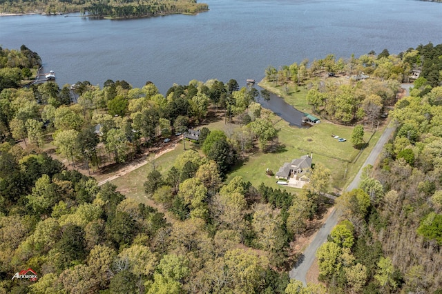 bird's eye view featuring a water view and a view of trees