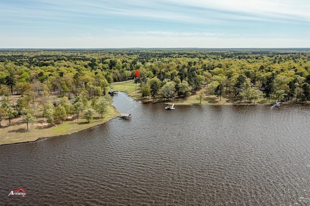 birds eye view of property with a water view and a view of trees