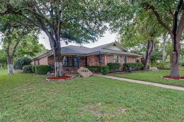 ranch-style home featuring a front lawn and brick siding