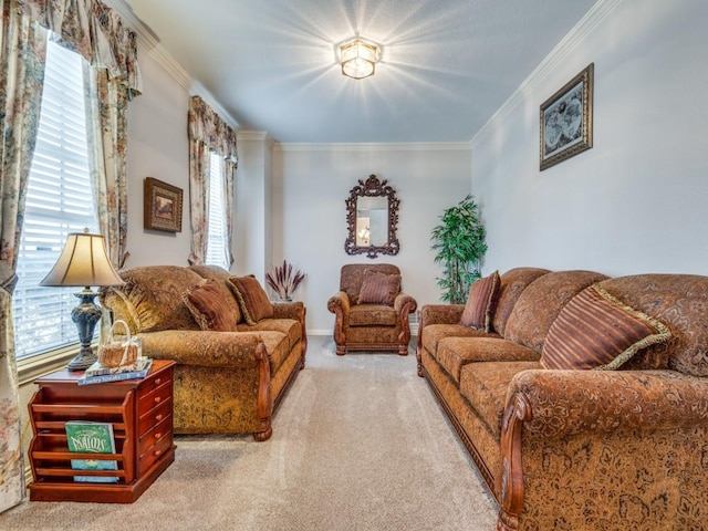 carpeted living area with plenty of natural light and ornamental molding