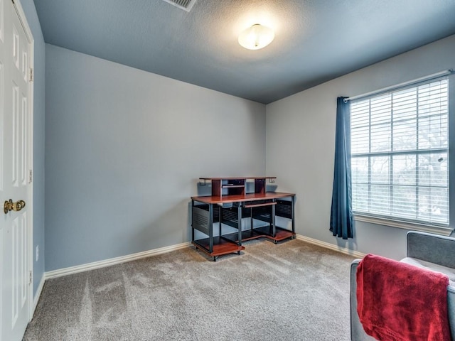 office space with carpet, baseboards, and a textured ceiling