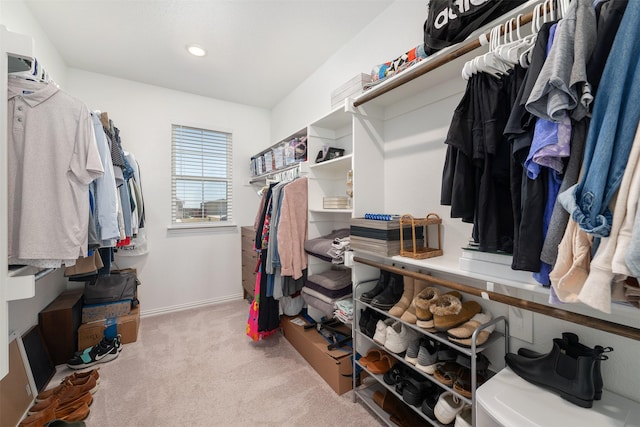 walk in closet with carpet floors