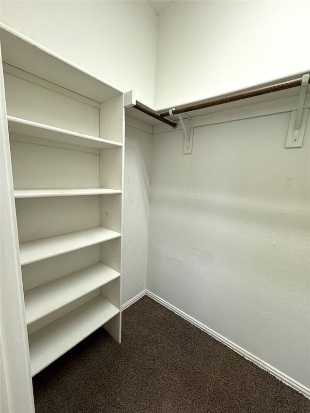 walk in closet featuring dark carpet