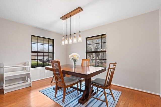 dining room featuring baseboards and wood finished floors