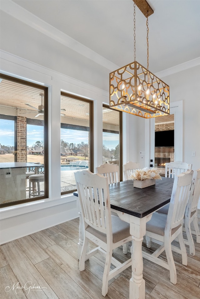 dining room featuring light wood-type flooring, a warm lit fireplace, and crown molding