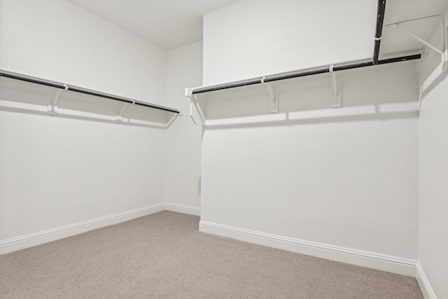 spacious closet with light carpet