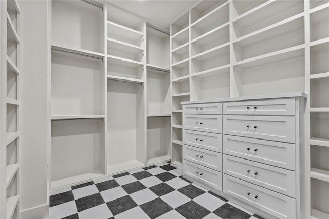 spacious closet with dark floors