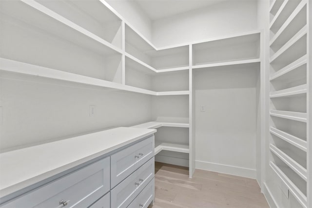 walk in closet with light wood finished floors