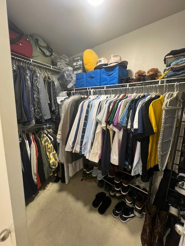 spacious closet featuring carpet