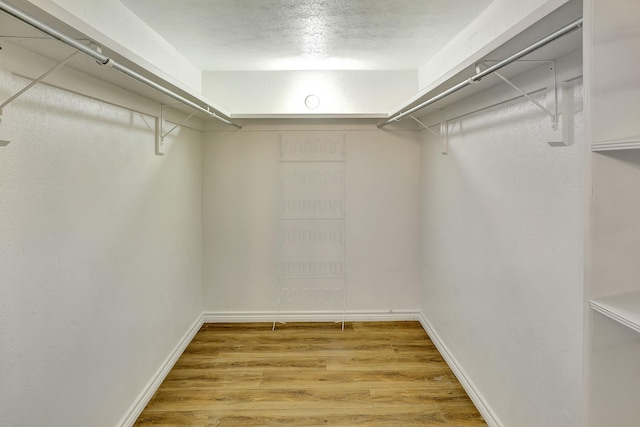 walk in closet featuring wood finished floors