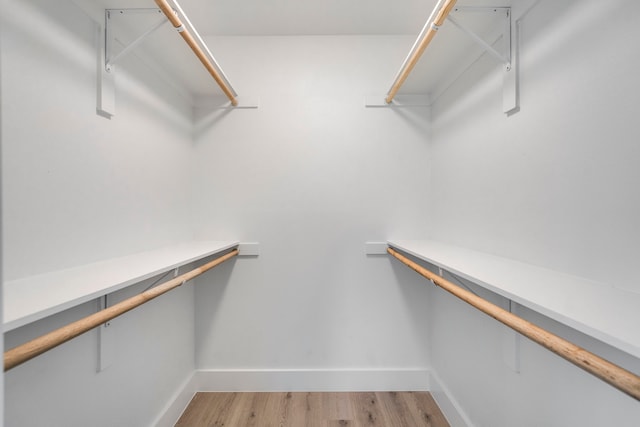 spacious closet with light wood-type flooring