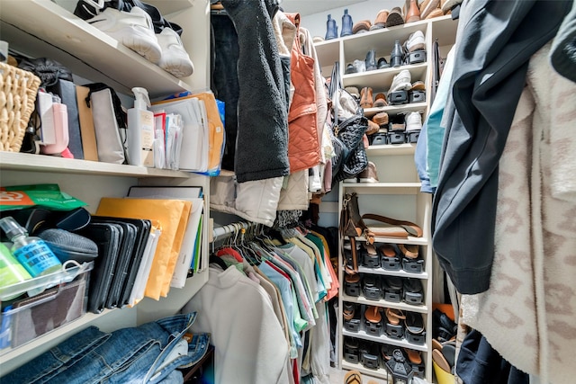 view of walk in closet