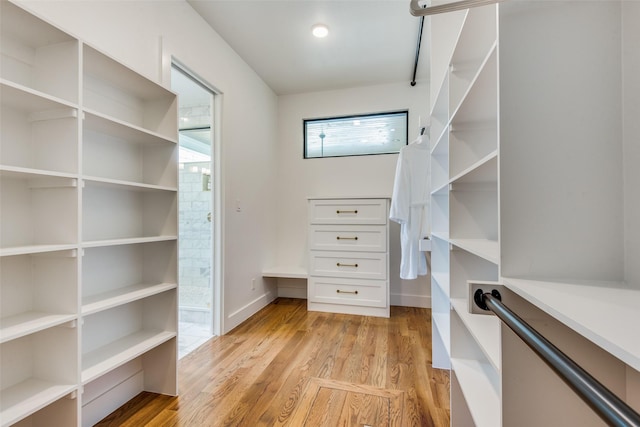 spacious closet featuring light wood finished floors