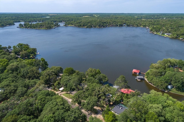 drone / aerial view with a water view and a view of trees