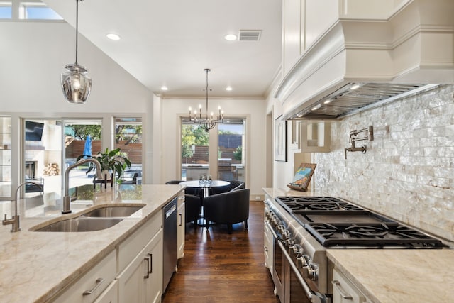 kitchen with dark wood-style floors, appliances with stainless steel finishes, a healthy amount of sunlight, premium range hood, and a sink