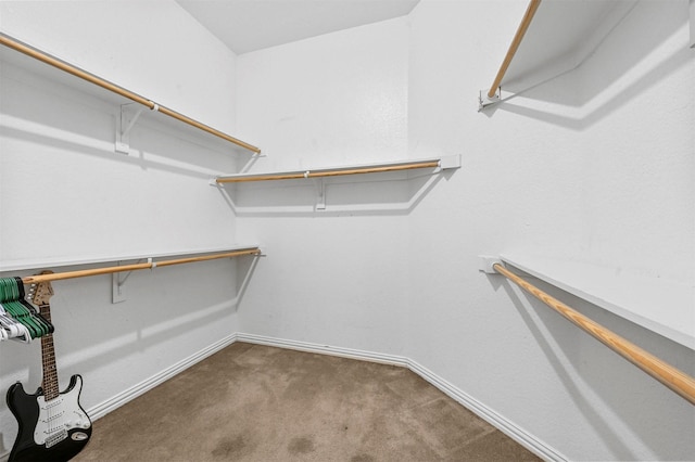 spacious closet featuring carpet floors