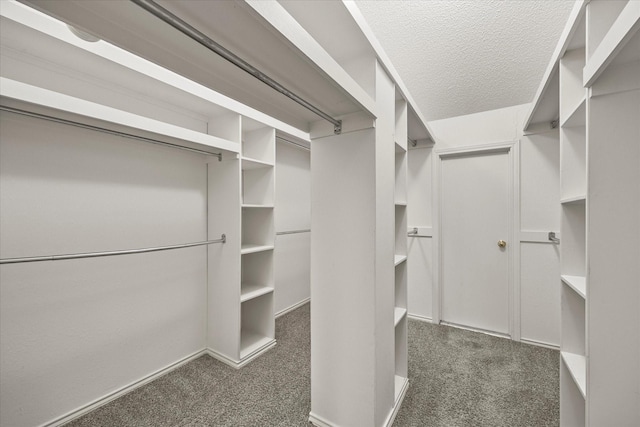 walk in closet featuring carpet