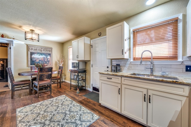 kitchen featuring backsplash, dark wood finished floors, and a sink