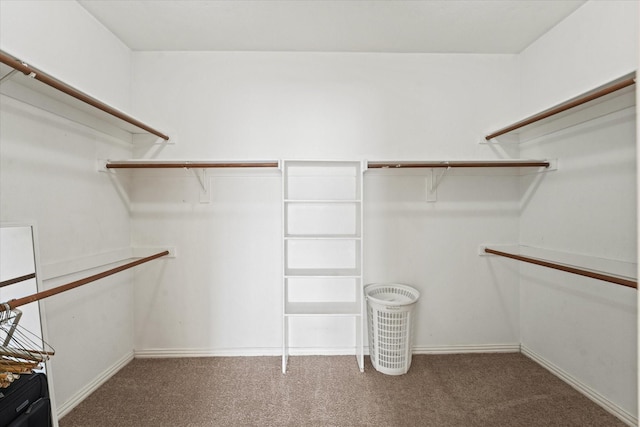 walk in closet with carpet flooring