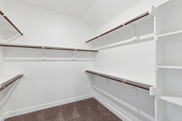 walk in closet featuring carpet and vaulted ceiling