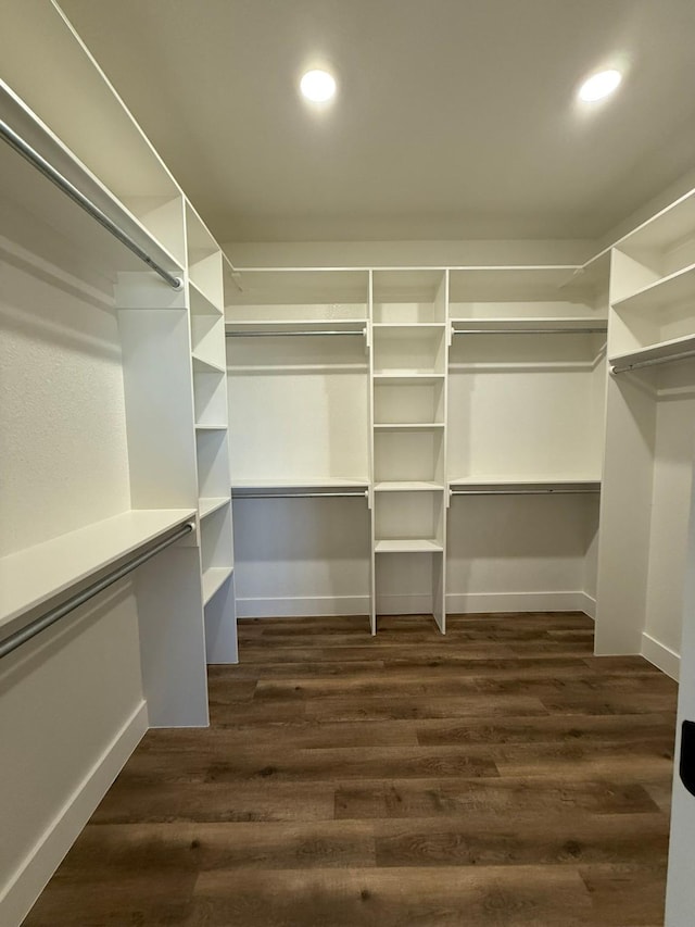 walk in closet featuring dark wood-style flooring