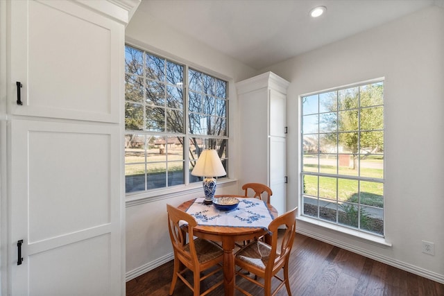 dining space featuring dark wood finished floors, a healthy amount of sunlight, and baseboards