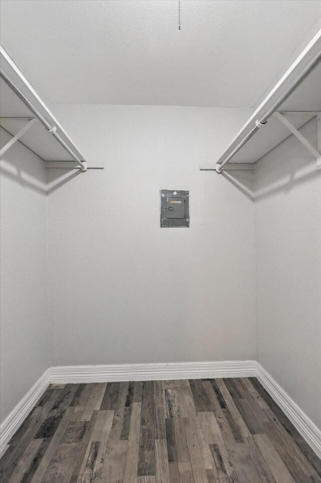 spacious closet featuring dark wood finished floors and electric panel